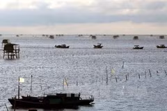First container of Vietnam’s ngao oysters shipped to Italy