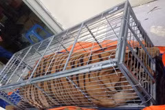 Police break wildlife trafficking ring from Nghe An to Hanoi