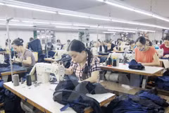 Dong Nai’s registered capital hits record