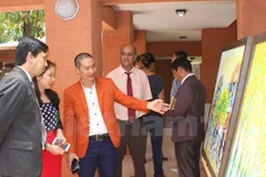 Vietnam’s cuisine, fine art shines in South Africa