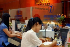 SHB loans to help coffee cultivation in Central Highlands