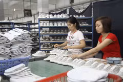 Leather, footwear sector forecasts 18 bln USD of export earnings 