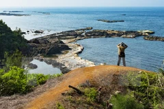 Ly Son Island needs proper planning for tourism development