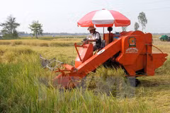 HCM City enhances mechanisation of agriculture
