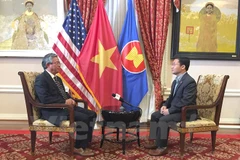 Increasing visits show growing Vietnam-US ties: ambassador