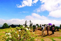 Lam Dong spends 57.3 million USD to conserve bio-diversity