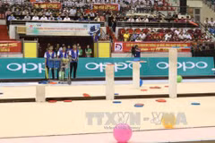 Robocon Vietnam 2017 begins final round