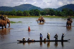 Lak Lake in Dak Lak Province offers a tranquil experience