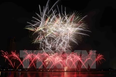 Da Nang ready for international fireworks festival