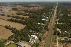 Climate change forecast to shrink rice yield