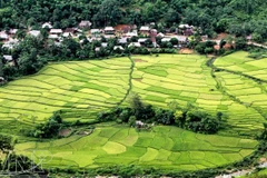 Pu Luong Nature Reserve protects rare animals