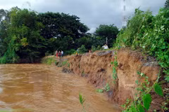 Dong Thap forecast to suffer more landslides this year 