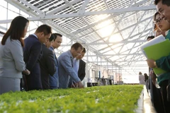 FLC to invest 1.5 billion USD in hi-tech farm