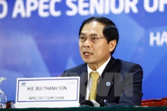 Vietnam active in APEC Business Advisory Council’s meeting 