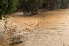 Vietnam to develop natural resources, environment monitoring database