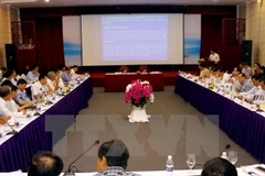 Government urged to ask for Lao Pak Beng hydropower project suspension