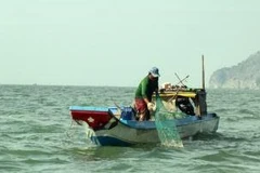 Vietnam seafood mulls action on EU warning