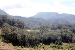 Lam Dong to invest over 510 billion VND to biodiversity protection