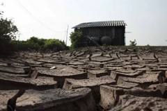 Dry season irrigation planned