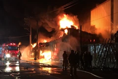 Vietnam actively conducts citizen protection abroad