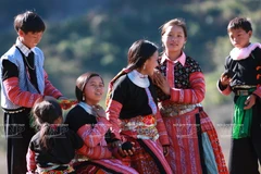 Culture of Vietnamese ethnic groups honoured
