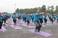 Mass yoga demonstration attracts crowds in Vinh Phuc