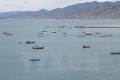 Ca Mau moves to fight illegal fishing off foreign waters