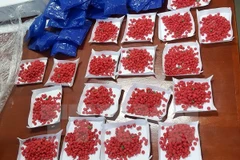 Dien Bien: Two arrested for transporting 4,000 drug pills