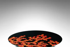 Christie’s to auction first made-in-Vietnam handicraft