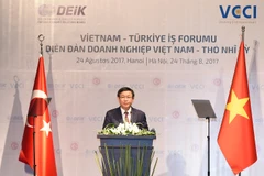 Deputy PM: trade-economic cooperation pillar of Vietnam-Turkey ties