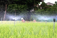 Mekong Delta province makes investment in irrigation