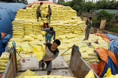 Temporary duties on fertiliser may hurt farmers