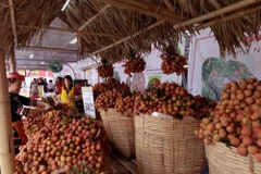 Post-harvest technologies needed to increase farm produce competitiveness