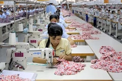 HCM City exports to top 35 billion USD in 2017 