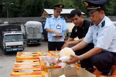 Multi-dollar tax evasion discovered in import companies