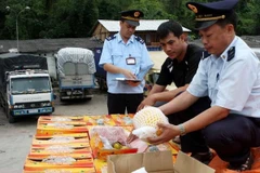Multi-dollar tax evasion discovered in import companies