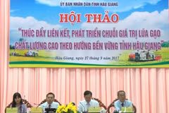 Conference seeks ways to build sustainable rice production chains