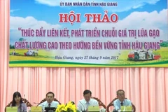 Conference seeks ways to build sustainable rice production chains