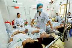 Hanoi works to minimize dengue fatalities