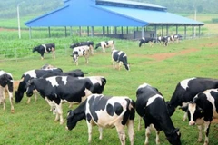 Decree designed to encourage investment in agriculture