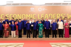 APEC 2017: Malaysian media appraises Vietnam’s organisation