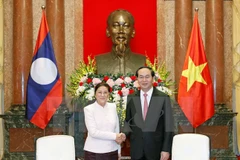 President calls for effective implementation of VN-Laos agreements