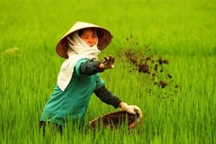 Sharp rise in fertiliser imports in first quarter