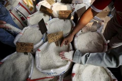 Philippines to import 250,000 tonnes of rice in June