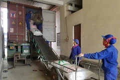 Ha Tinh: Export revenue on strong surge