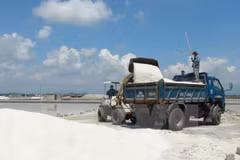 Unsold salt volume falls in first six months