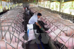 France’s Olmix inaugurates feed additives plant in Binh Duong 