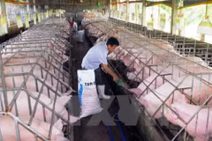 France’s Olmix inaugurates feed additives plant in Binh Duong 