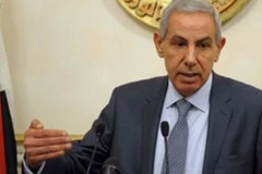 Singapore helps Egypt set up first industrial city
