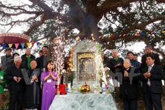 Conference promotes heritage tree preservation